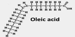 فواید اسید اولئیک برای زیبایی