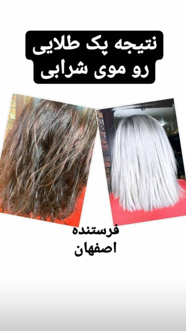 نمونه کارها و رضایت مشتری پک استاد بیک