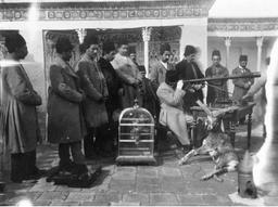 چهارپاره در باب استیصال، اجرام آسمانی، جاودانی نیشابور و تبریز و هند و هیروشیما و خورشیدِ مختصر بین شاخه‌های درختی که باد تکانش می‌دهد.