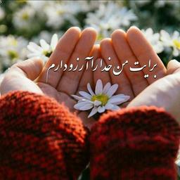 #ارزش انسان