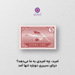 درنای سیبری دوباره تنها آمد