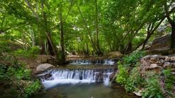 تنگ بستانک شیراز