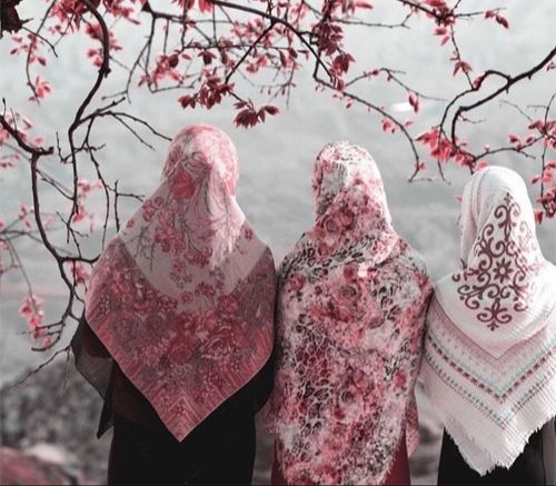 آمارخشونت علیه زنان درایران
