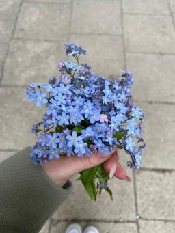 "فراموشم نکن"