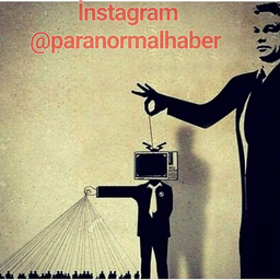 در باب توطعه