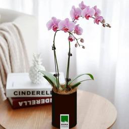 آشنایی با گلدان مصنوعی