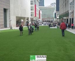 چمن مصنوعی را در چه جاهایی می توان استفاده کرد؟