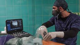 بلوک عصبی چیست