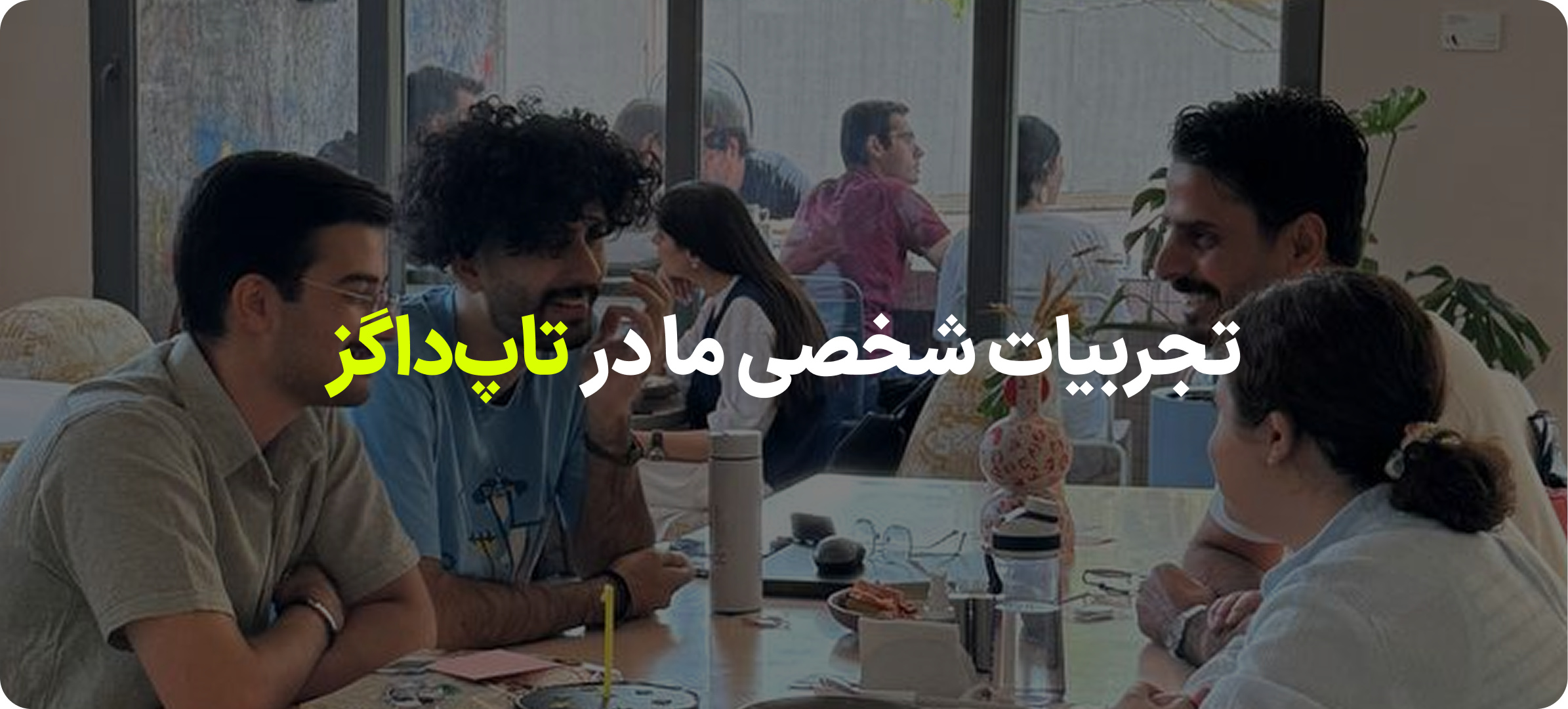 تیم تاپداگز