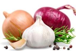 در مورد انواع پیاز