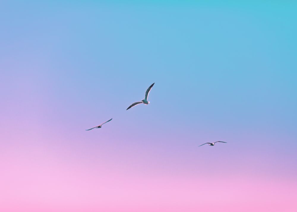 Photo by Dave Hoefler on Unsplash