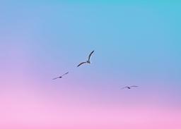 پایان «برای فرزند»