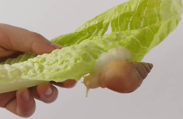 استارت بیزنس