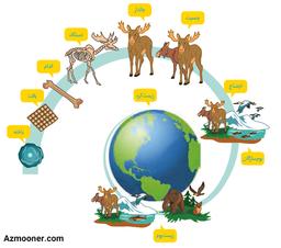 ۱۲ سطح مختلف حیات