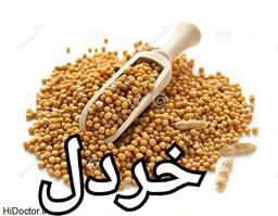 خردل