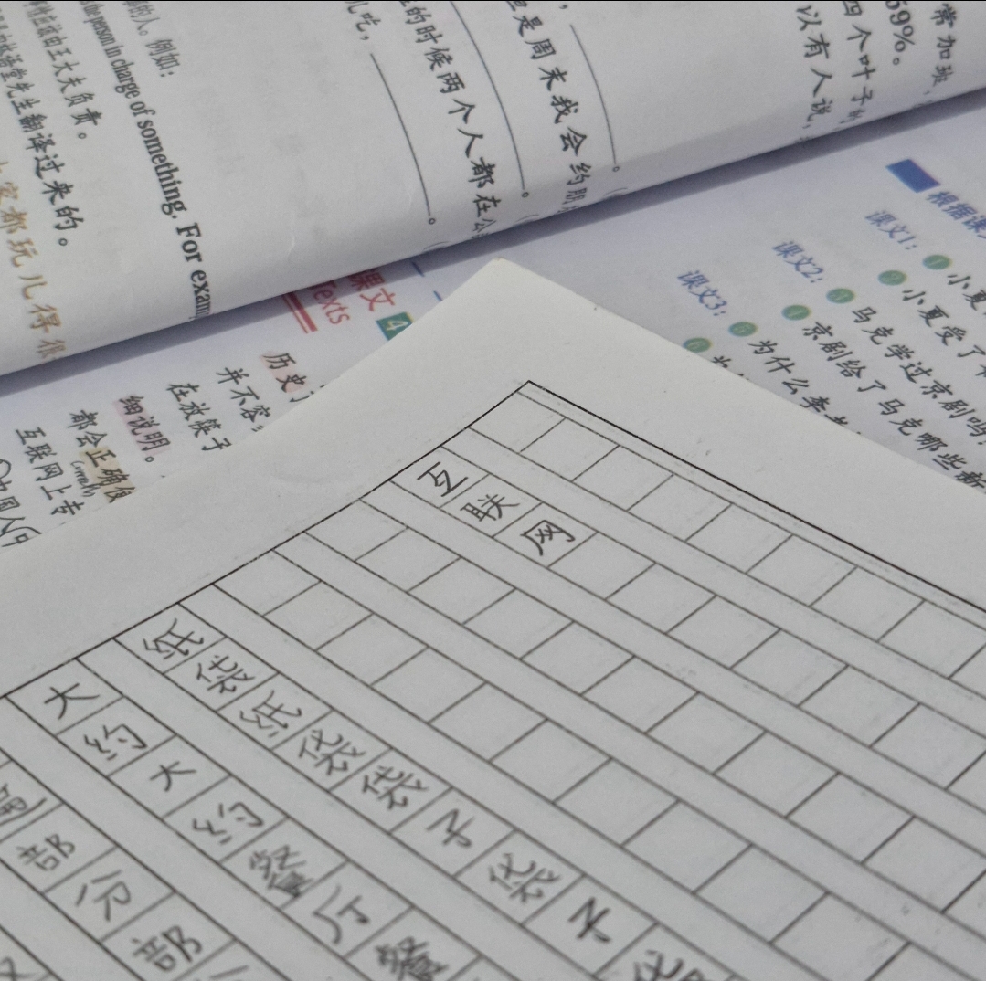 اون واژه چینی تک و تنها یه چیزیه که انگلیسیش شده "اینترنت" نمی‌دونم چیه؛ ولی از سه تا کاراکتر حدس میزنم که "شبکه برقرای ارتباط با همدیگه" باشه.