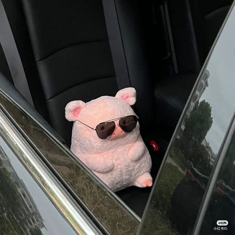 آیا واقعا داره دیر میشه؟