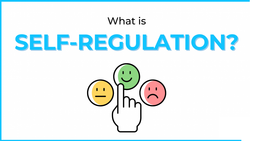 خودتنظیم‌گری و واگذاری تنظیم‌گری به انجمن‌های صنفی در حوزه فین‌تک و استارت‌آپ‌ها