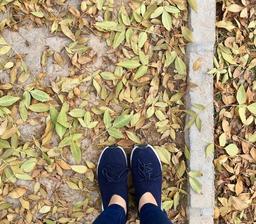 داستان راه اندازي داتین مشهد