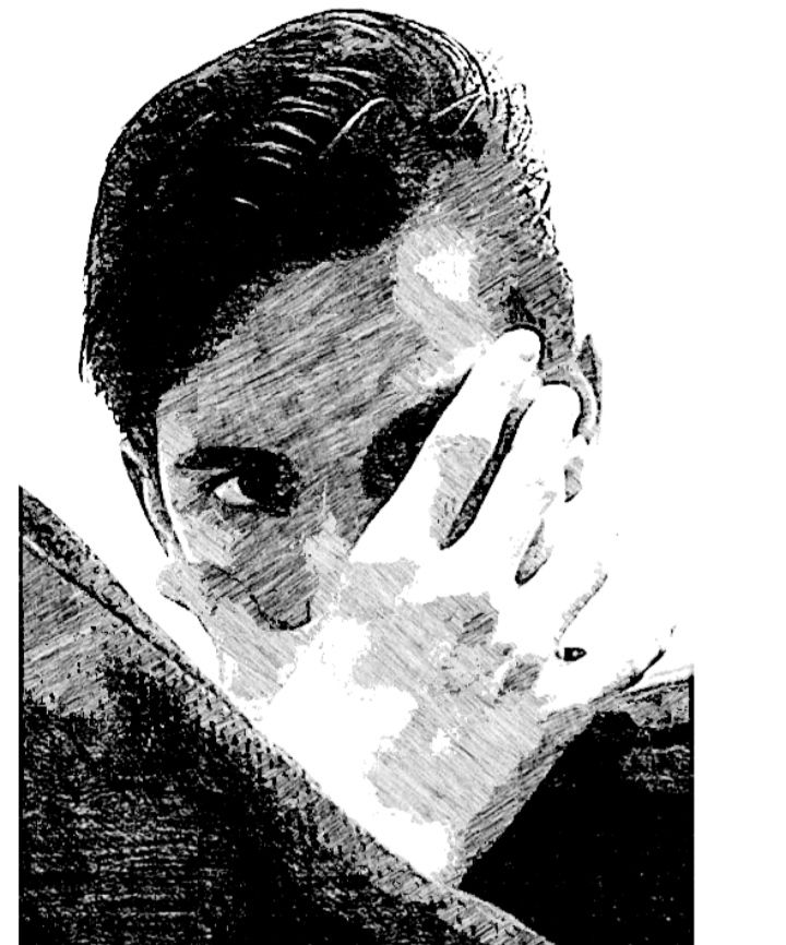 سناتور حامد