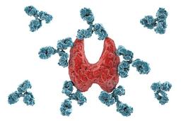 تفسیر آزمایش تیروئید