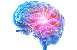 تقویت سیستم ایمنی بدن با تقویت مغز