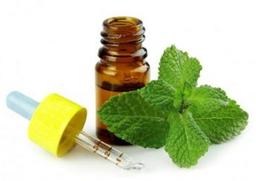 خواص جوهر نعناع