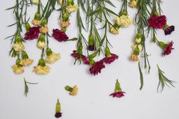 مواجه شدن با خود واقعی ام