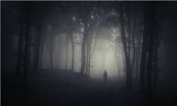جنگل تاریک