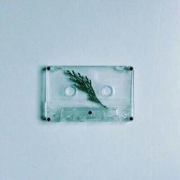 پستِ کم و بیش خاکستری ... !