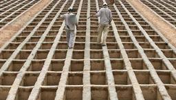 زنان زنده‌یِ مرده در قبر