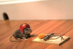 نسبت ریسک به بازده مناسب در ترید در بازار فارکس چقدر است؟