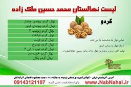 لیست نهال های میوه + قیمت