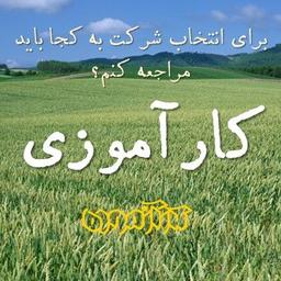 واحد کارآموزی در دانشگاه