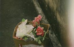 دیوار به دیوار