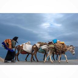 عکس نوشت (۵)