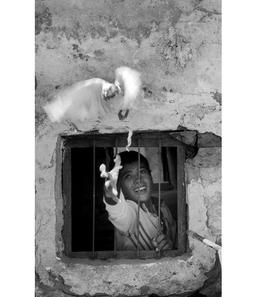 عکس‌نوشت (۴)