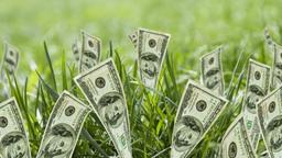 راه های درآمدزایی از زبان انگلیسی