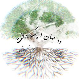 دو جهان و یک درخت
