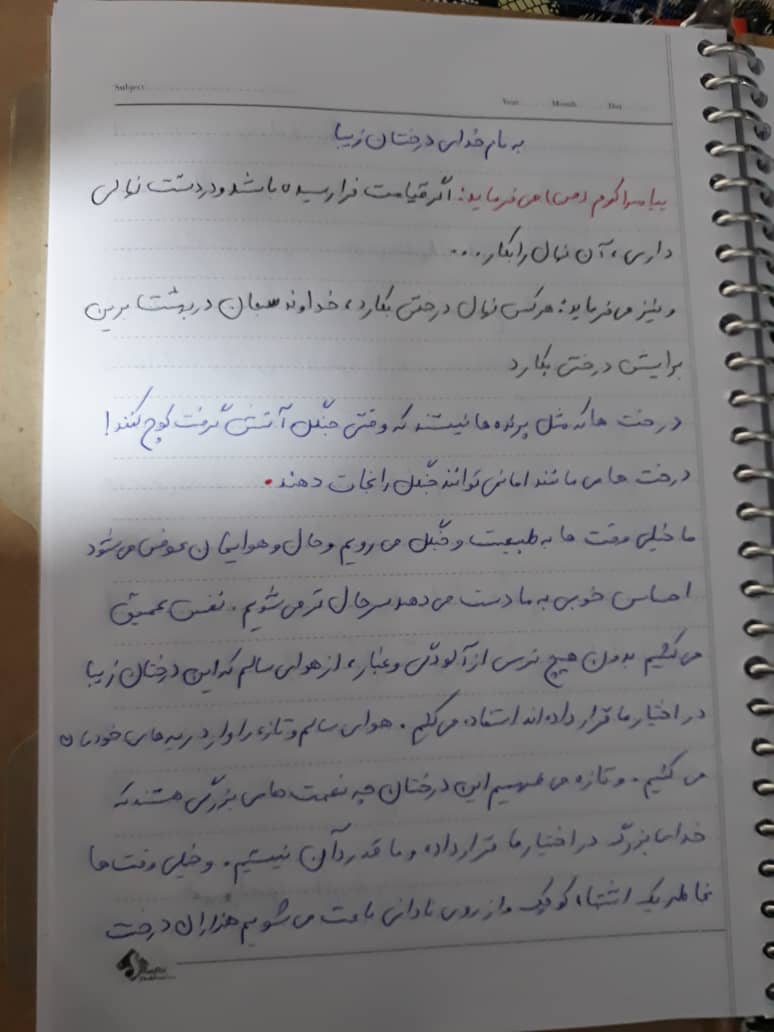 با شناختن درختان، معنای صبر را درک می‌کنم