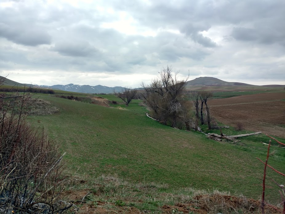 کوله‌پشتی سال ۹۹ من، سبک و مقوی!