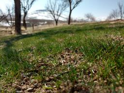 کوله پشتی من برای سال 97