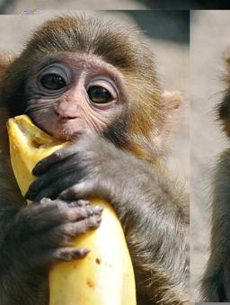 حالا چرا ما خلاق نیستم ؟؟؟