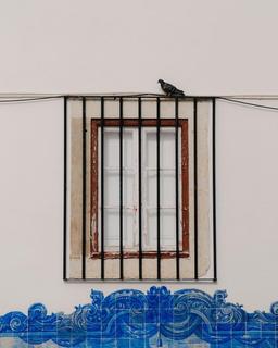 می‌چرخم پس هستم