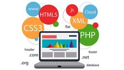 ۱۰ نکته طلایی که قبل از داشتن وب سایت باید بدانید