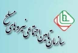 بیش از ۸۰ درصد بازنشستگان نیروهای مسلح زیر خط فقرند