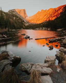 اگر دیوانه شوم چه؟