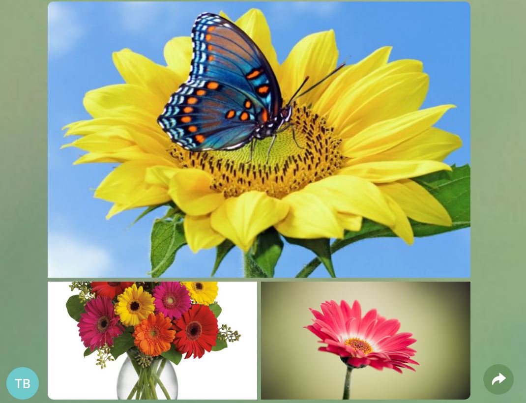 ارسال گروهی تصاویر (آلبوم عکس) از طریق ربات تلگرام