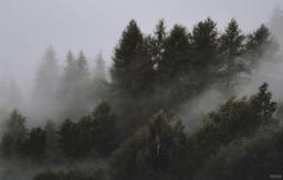 کمی ایمان داشته باش (میچ آلبوم)