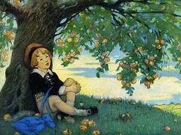 پسرک عاشق ودرخت دانا!